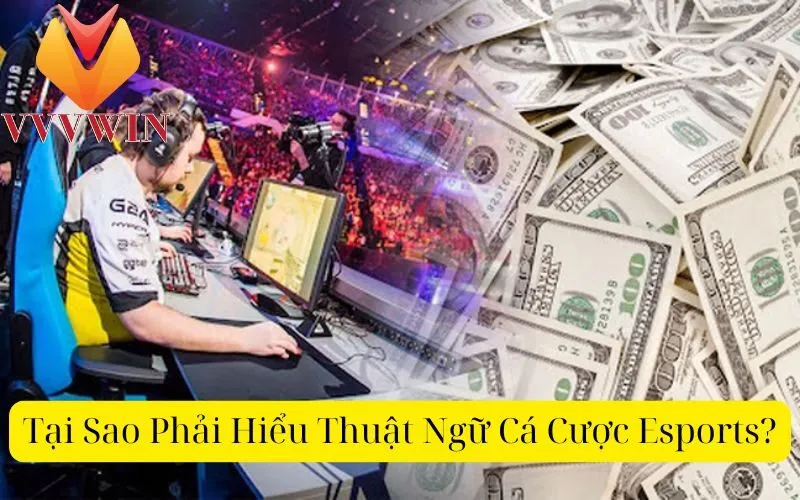 Tại Sao Phải Hiểu Thuật Ngữ Cá Cược Esports?